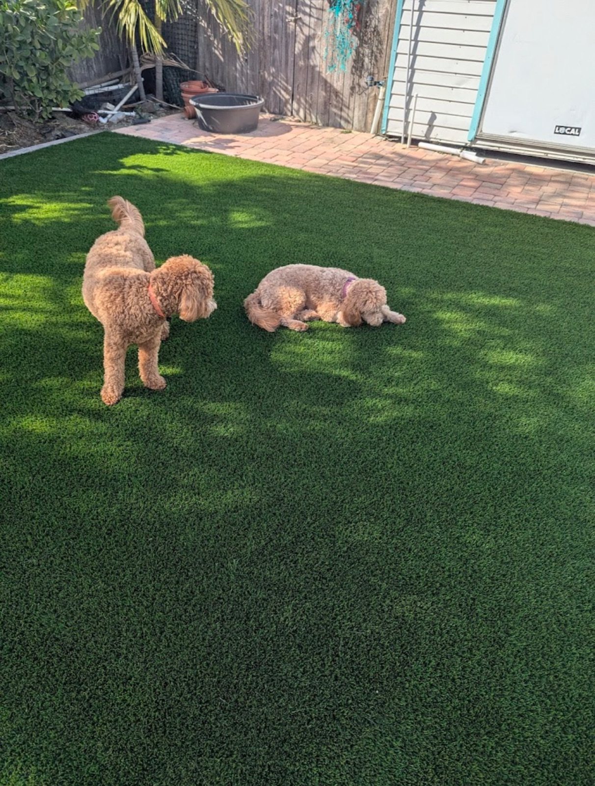 Completed paver and turf installation by Groundworks, Brevard County